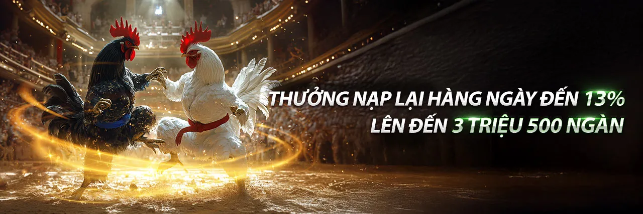 Đá Gà Nani88 Trực Tuyến